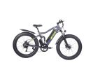 electric bicycle